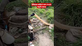 ইন্ডিয়ার জমিতে জল#nature #waterfall #waterfallriver #travel #shortvideos