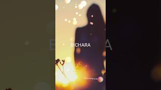 bichara Dil Mera | Awara | Dabangg 3 Salman Khan, Sonakshi S,Saiee M Salman Ali