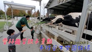 雲林崙背親子景點｜千巧谷牛樂園牧場｜餵魚餵牛餵NuBi