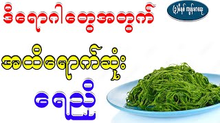 ဒီရောဂါတွေအတွက်ဆို အထိရောက်ဆုံး ရေညှိ၊ Health Benefit of Algae