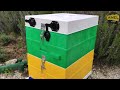 The ANEL Plastic Insulated Beehive