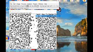 ImageJ-wound healing assay measurement
