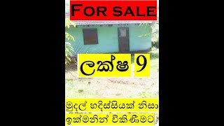 ලක්ෂ 09ක් වැනි ඉතා අඩු මුදලට/For Sale land \u0026 House/#Acland /අඩු මුදලට ගෙවල් ඉඩම්  වීඩියෝව බලන්න