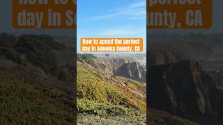 The Ultimate Sonoma County Road Trip You Can't Miss #travel #shorts #California