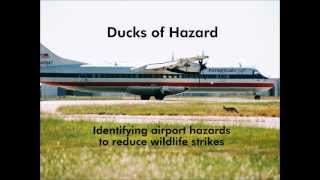 Airport Wildlife Hazard Identification \u0026 Risk Assessment