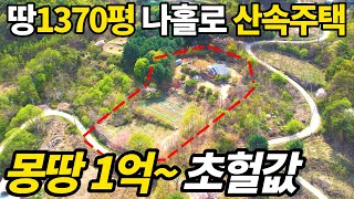 상상초월~토지1370평+신축 전원주택=전부 1억~ 급매보다 훨~씬 싸다! 텃밭이 축구장 수준~ 속세를 벗어나 나홀로 전원생활~가격은 시골집