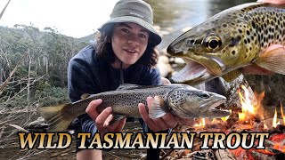 Solo wild TROUT adventure and overnight camping!!