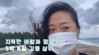 [sorac vlog] 시작부터 이렇게 험난하다고..? 5박6일 강릉 살이 과거 회상 브이로그🌊