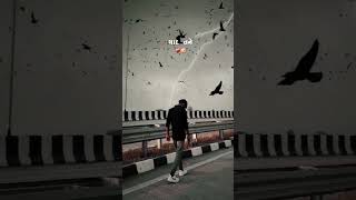 હવે અમારી યાદ તને ક્યોં થી આવે 🤕 gujrati status video Whatsapp status video2023#youtubeshorts #sohot