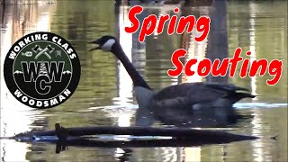 Scouting for turkey, beaver, and waterfowl in NH