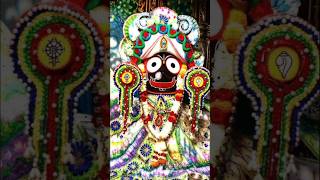 ତମେ ସାରା ଜଗତର ନାଥ ସବୁରି କଳା ସାଆନ୍ତ 🙏#ahemahabahu#shortfeed #jayjagannath #ytshorts