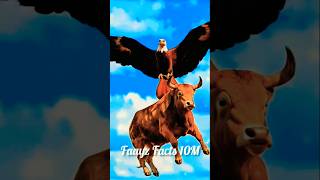 जब गाय पेड़ पर चढ़ी और बाज ने उठा लिया! 😱 | मजेदार कहानी  #shorts #cow #eagles #AmazingStory