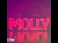 Vanilla Cain - Molly