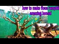 How To Make Ficus Rumphii Bonsai Tree At Home Its A Amazing Bonsai #jana bonsai #