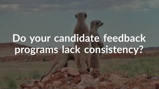How to Get Consistent Candidate Experience Feedback