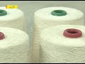 banana cotton faisalabad.