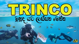 Trincomalee Travel Guide | Diving | TRIP PISSO VLOG #61