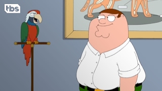 Family Guy: Peter Gets a Parrot (Clip) | TBS