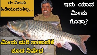 ಈ ಮೀನು ಹಿಡಿಯುವಂತಿಲ್ಲ, ಮರಿ ಸಾಕಾಣಿಕೆ ಮಾಡುವಂತಿಲ್ಲ | ಇದ್ಯಾವ ಮೀನಪ್ಪ?