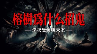 【深夜恐怖聊天室】榕树为什么招鬼