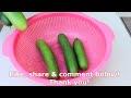 How to grow Cucumbers vertically, extremely lots of fruit, Growing cucumbers