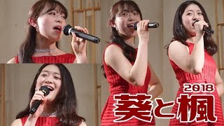 葵と楓 【三味線音色 ハイグレード収録 Ver.】 瀬戸の花嫁 \u0026 ピンクレディー阿久悠メドレーなどを披露～ 浅草ＲＯＸまつり湯ステージショー 2018 2.11