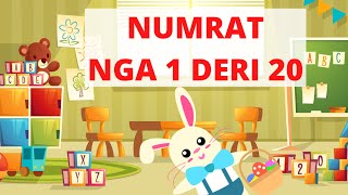 Numrat shqip nga 1 deri 20 | Video për fëmijë