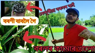 assamese fishing - Rafikul vlogs - Assamese vlog