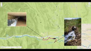 Weber River Fish Migration Animation