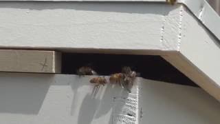 Wrong way to ventilate the hive