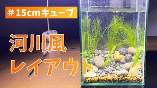 【小型水槽】15cmキューブ水槽で、河川風レイアウト水槽の立ち上げ　#アクアリウム #アクアリウム初心者 #アクアリスト #水槽レイアウト #小型水槽 #15cmキューブ水槽 #水槽立ち上げ