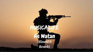 Ae Watan {Female} [Slowed & Reverb] || Independence Day Special