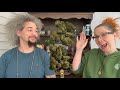 💚 J & Day Review 🫧 Bubble Bath #16 🛁 Strain from Sira Naturals