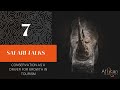 Safari Talks Episode 7  Conservation as a Driver for Growth in Tourism
