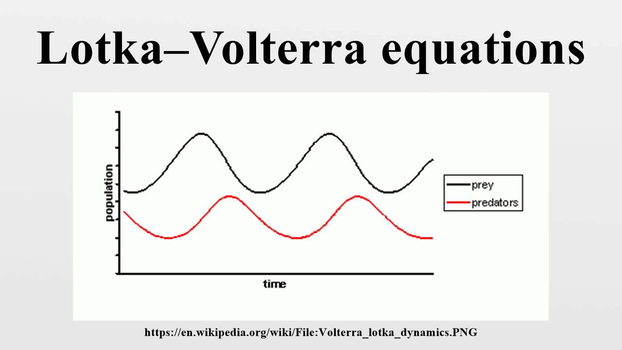 Lotka–Volterra Equations - YouTube