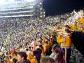 LSU TIGER BAND 