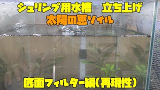 シュリンプ用水槽　立ち上げ　太陽の恵ソイル　底面フィルター編(再現性)