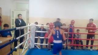 Arcax Boxing