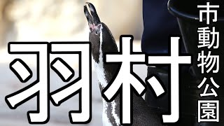 〇2021年　羽村市動物公園に遊びにいってきた