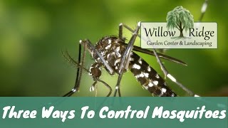 Three Ways To Control Mosquitoes In Your Yard