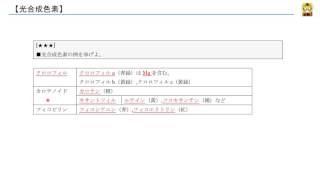 光合成色素 【高校生物】