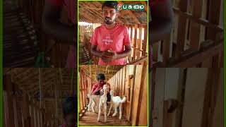 ஆடு வளர்ப்புல இதுதான் Best Method ✔️  | வெளிப்படையாகச் சொன்ன அருண்!