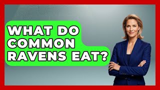 What Do Common Ravens Eat? - Bird Watching Diaries