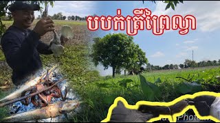 ចេញទៅបបក់ត្រីនៅព្រៃល្វាខេត្តតាកែវ,Fishing at Ta Keov