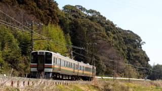 JR東海２１３系 普通列車天竜峡行 東上大カーブにて 【033】