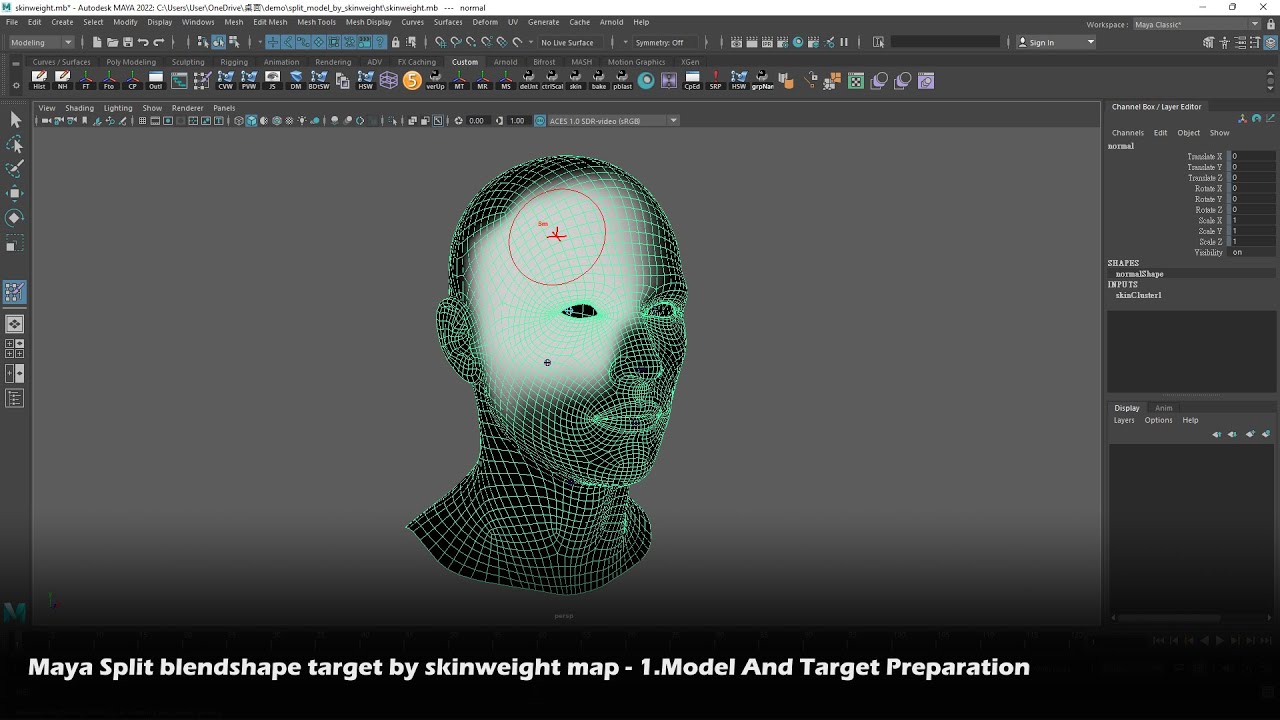 Maya Split Blendshape Target By Skinweight Map - 1.Model And Target ...