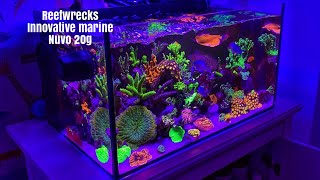 Reefwrecks Innovative Marine Nuvo 20G episode 1 - The Journey to SPS #nano #reeftank #nuvo20 #sps