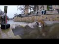 leinewelle hannover riversurfing 14 januar 2023