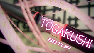 [IIDX SINOBUZ] TOGAKUSHI / SETUP