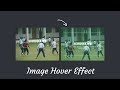 Simple Image Hover Effect With Source codes | Online codes